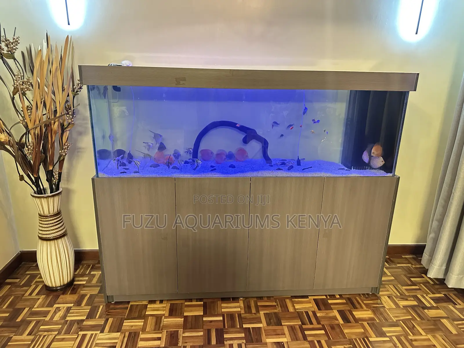 Complete Cabinet Aquarium – Plug Play