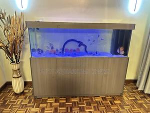 Complete Cabinet Aquarium – Plug Play - thumbnail 2