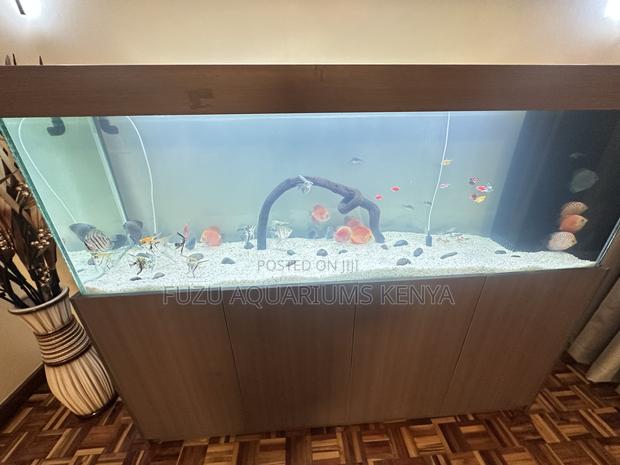 Ready Aquarium With Lighting Filtration - main view