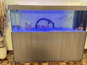 Cabinet Aquarium – With Pump Led Lights - thumbnail 2