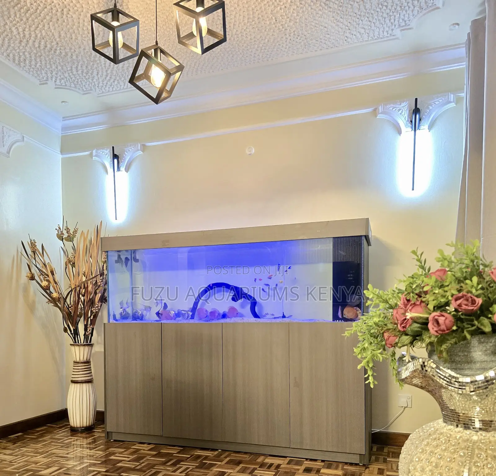 Display Aquarium – With Pump, Fish Food