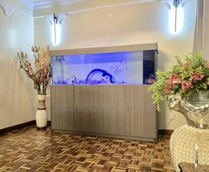 Clean Setup Aquarium With Spacious Cabinet - thumbnail 2