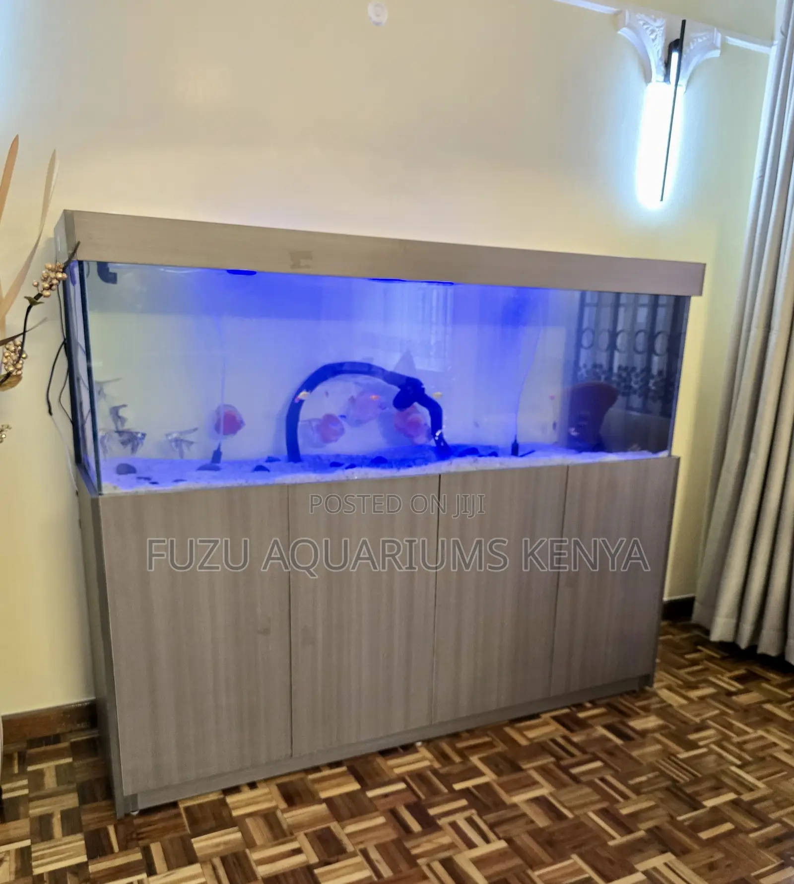 Aquarium With Cabinet – Enhances Any Space