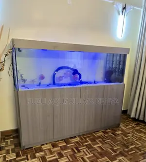 Aquarium With Cabinet – Enhances Any Space