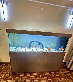 Turnkey Aquarium With Stylish Cabinet Base - thumbnail 2