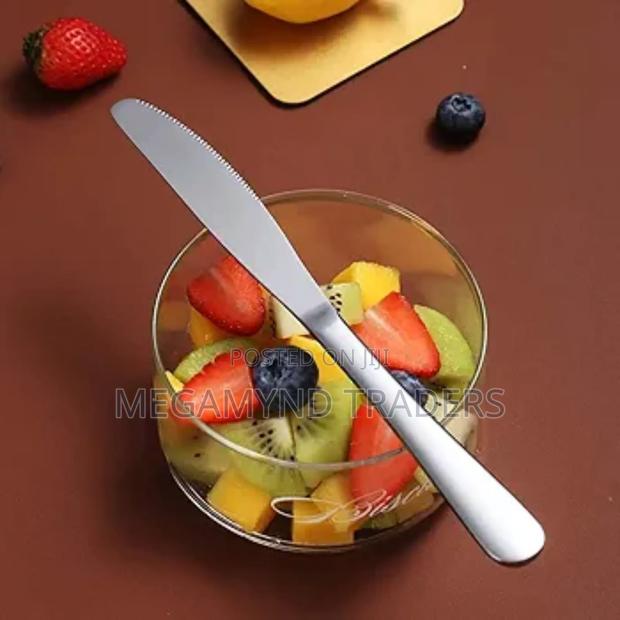 6pc Butter Knife/Stainless Steel Table Knives - thumbnail 5