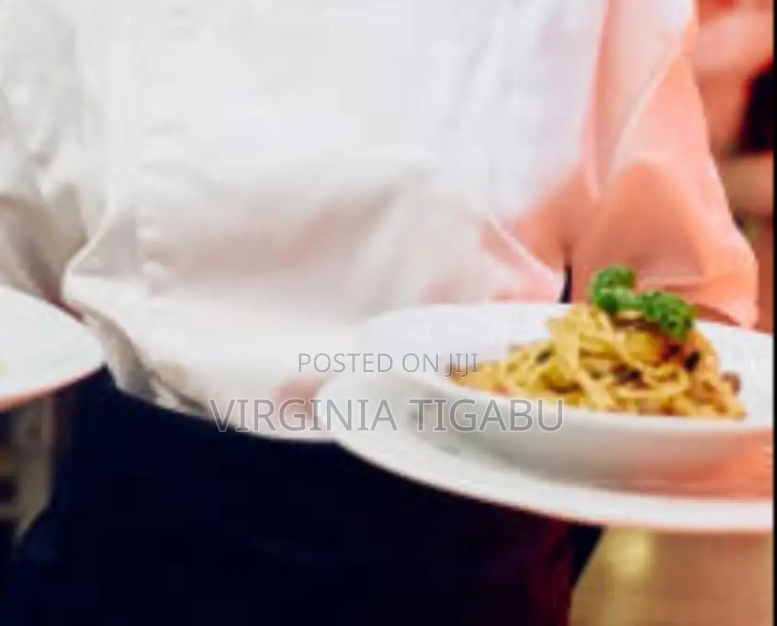 Waitress/Server