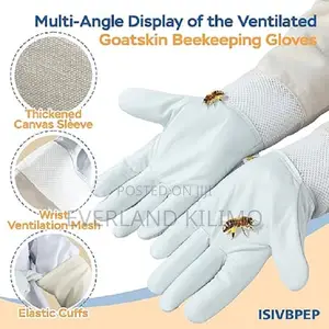 Beekeepers - Protected Leather Gloves