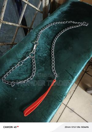 Dogs Chain Dog Chain - thumbnail 2