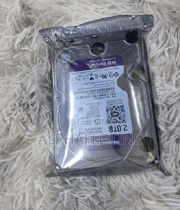 Desktop/DVR/NVR Wd Surveillance Hard Drive