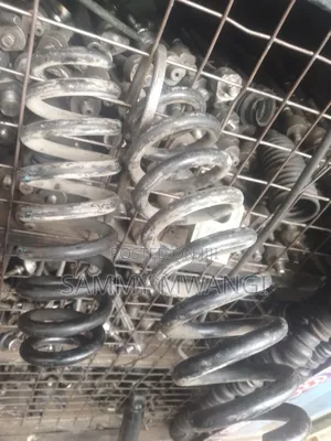 Toyota Ist Rear Springs 