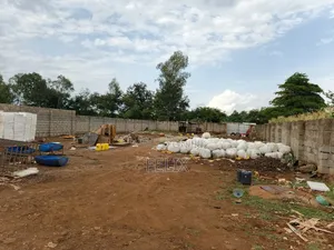 Kirinyaga /Kiangwachi Developed Quota Plot