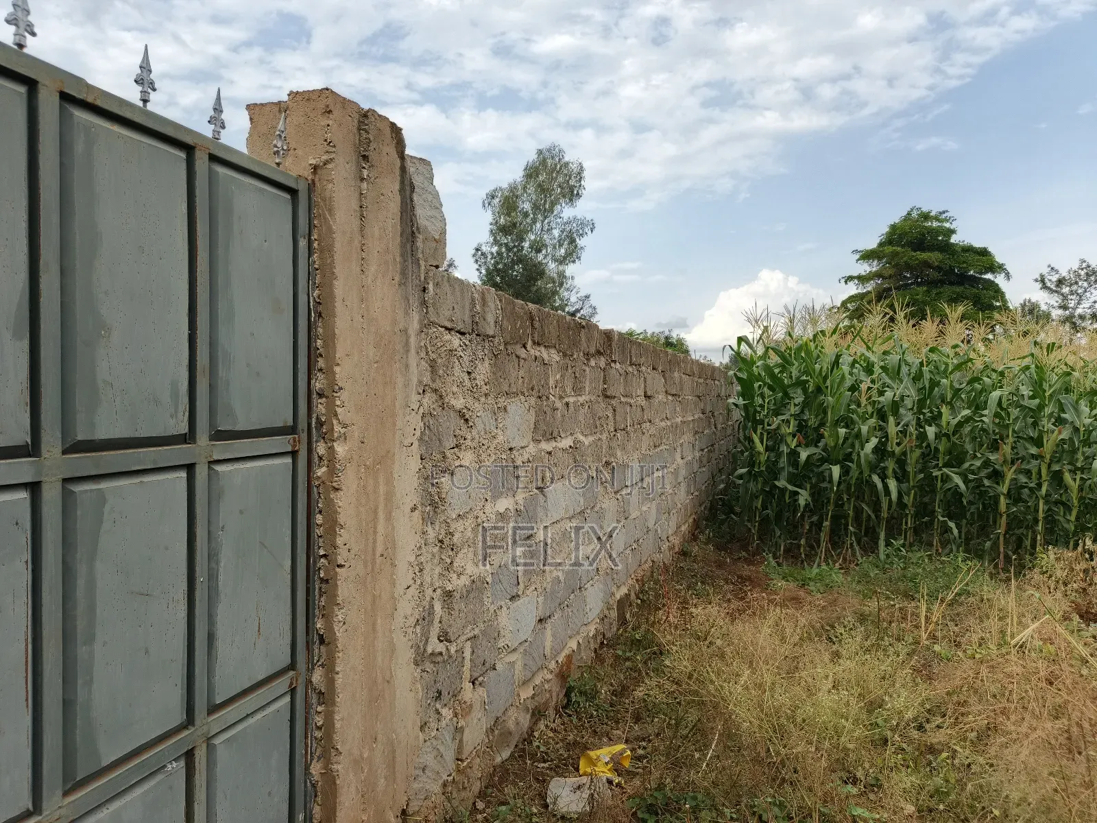 Kirinyaga /Kiangwachi Developed Quota Plot