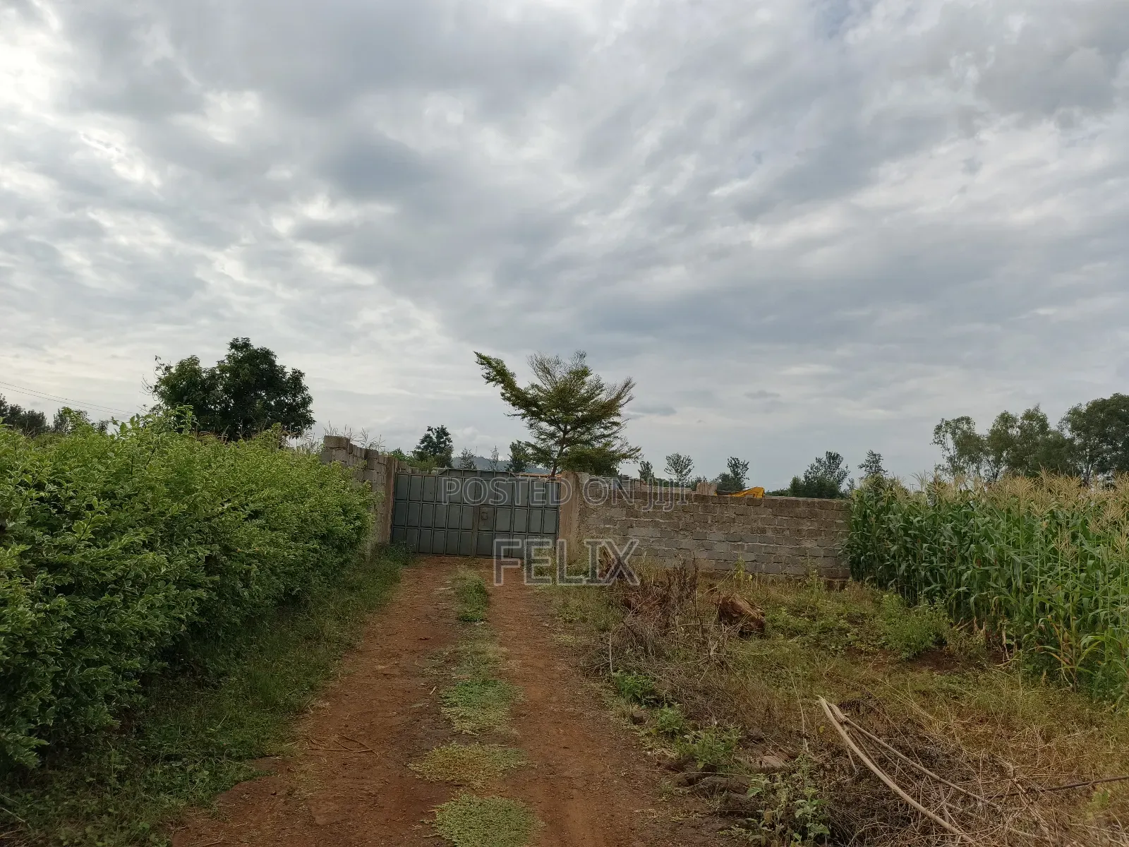Kirinyaga /Kiangwachi Developed Quota Plot