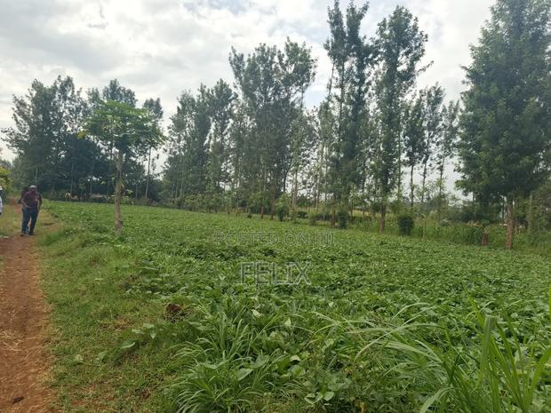Kirinyaga/Kibingoti Half Acre - thumbnail 2