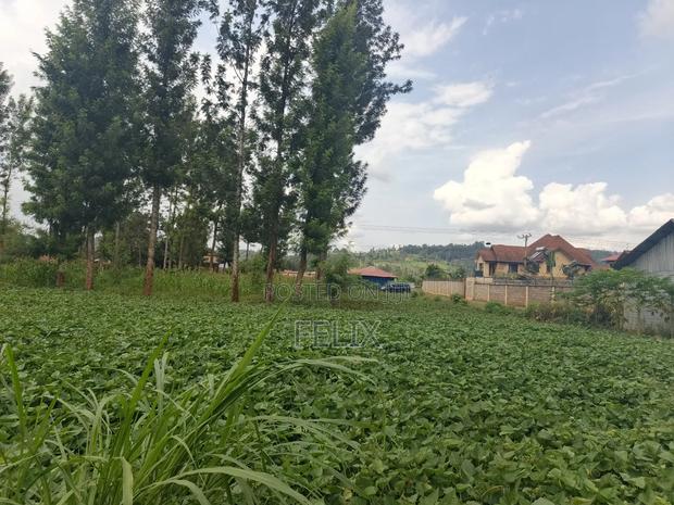 Kirinyaga/Kibingoti Half Acre - thumbnail 5