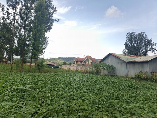 Kirinyaga/Kibingoti Half Acre - thumbnail 6
