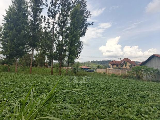 Kirinyaga/Kibingoti Half Acre - thumbnail 7