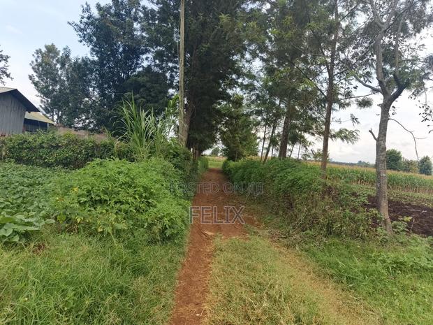 Kirinyaga/Kibingoti Half Acre - thumbnail 8