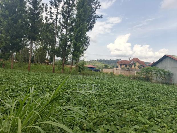 Kirinyaga/Kibingoti Half Acre - thumbnail 9
