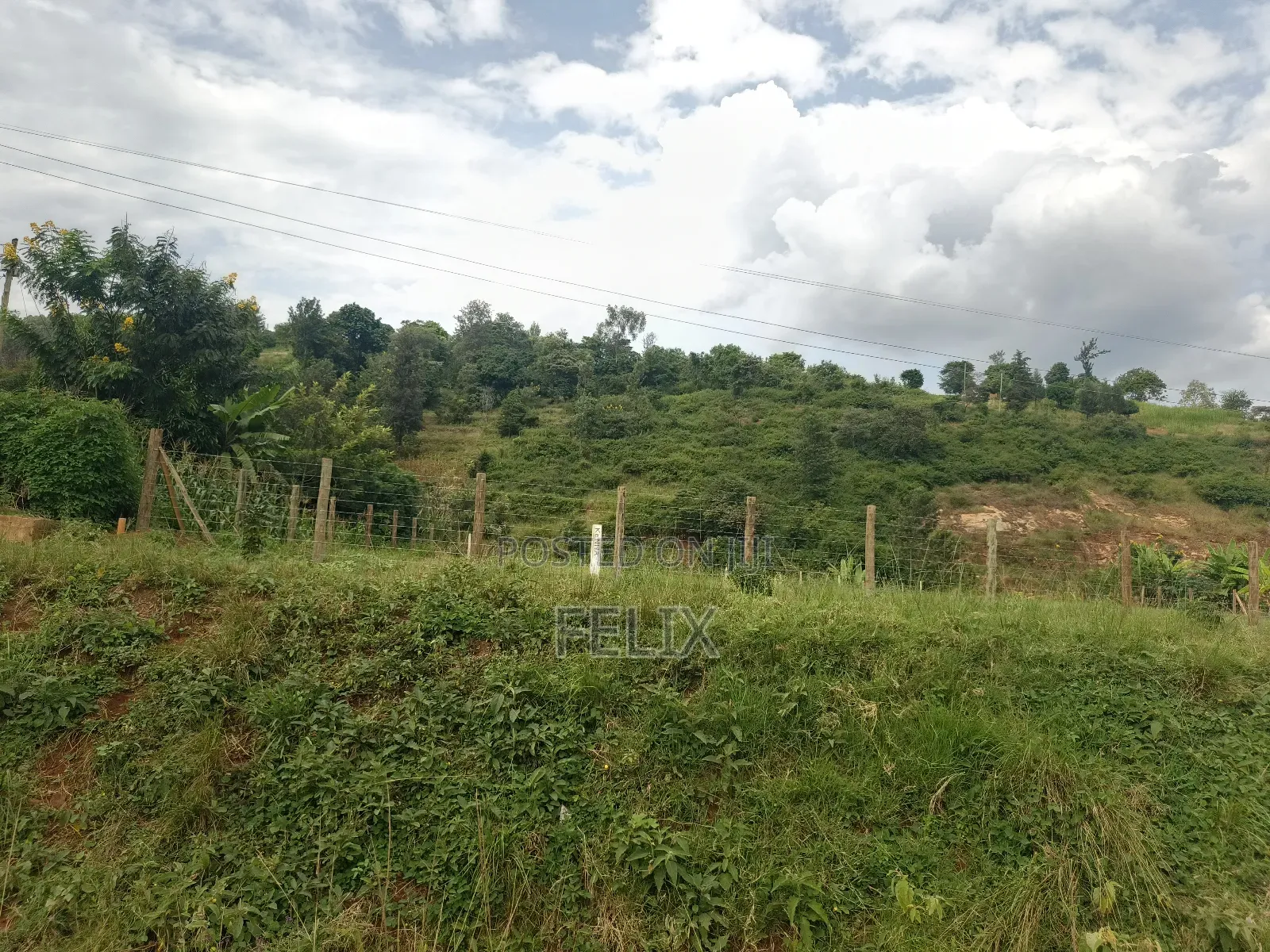 Kirinyaga, Kiini Eng. Construction 1 Acre