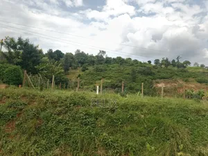 Kirinyaga, Kiini Eng. Construction 1 Acre