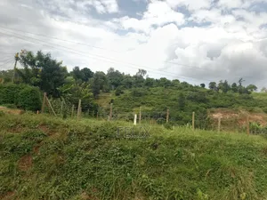 Kirinyaga, Kiini Eng. Construction 1 Acre