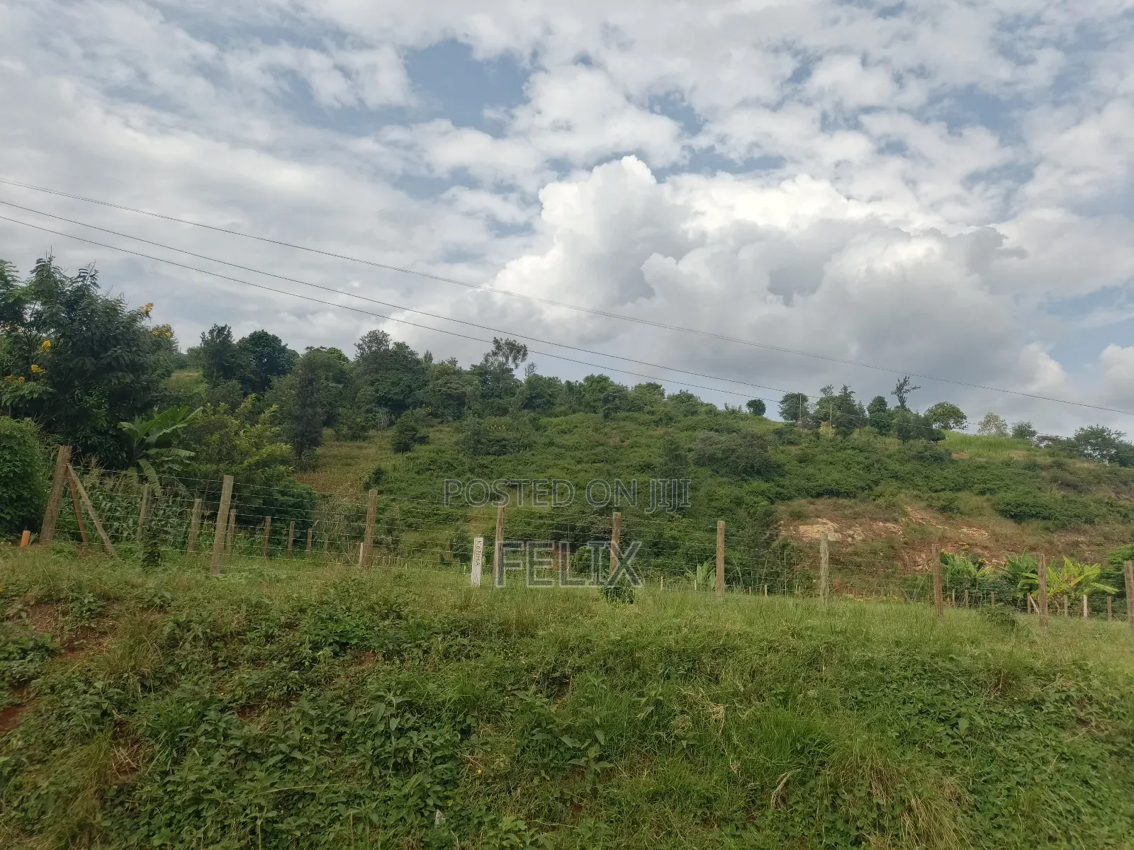 Kirinyaga, Kiini Eng. Construction 1 Acre