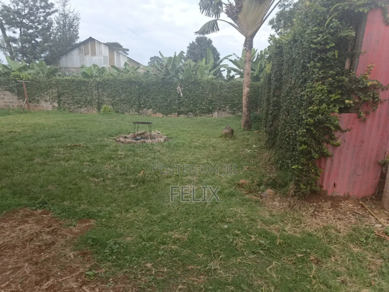 Karatina Jambo Developed Half Acre