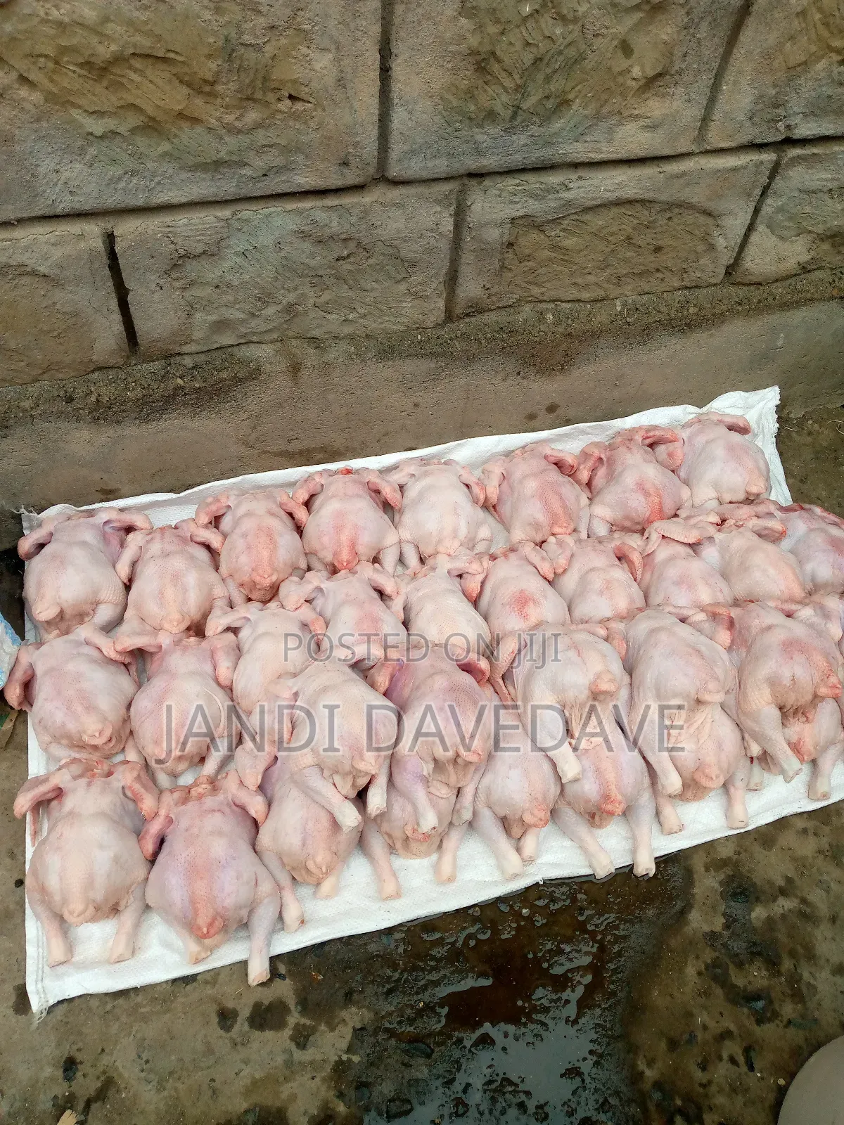 Broilers and Kienyenji Chicken