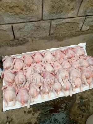 Broilers and Kienyenji Chicken