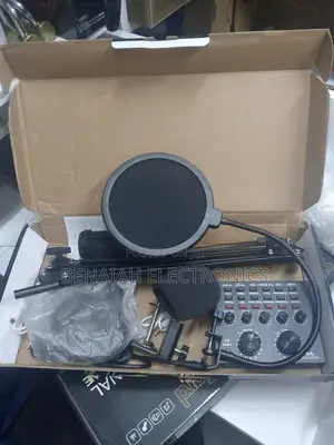 Imported Professional Condenser Microphone