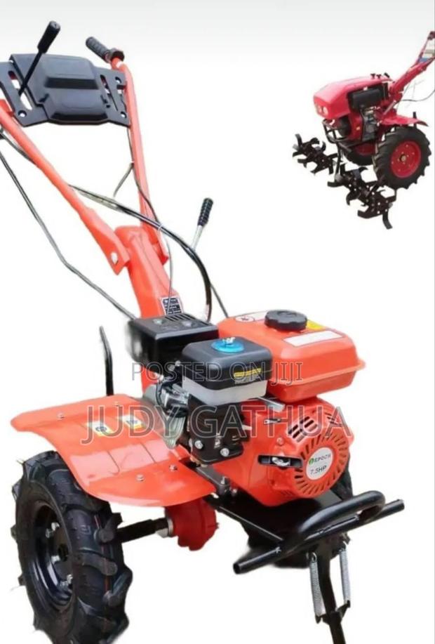 Tiller Gasoline ⛽  7hp - main view