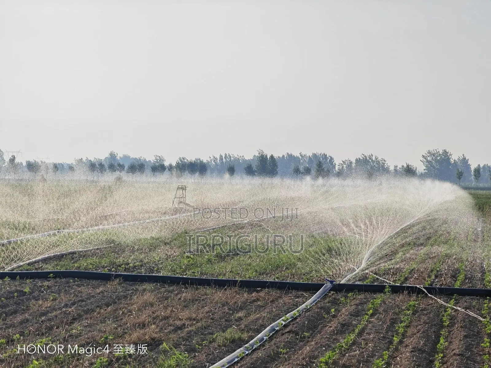 Irrigation Hose