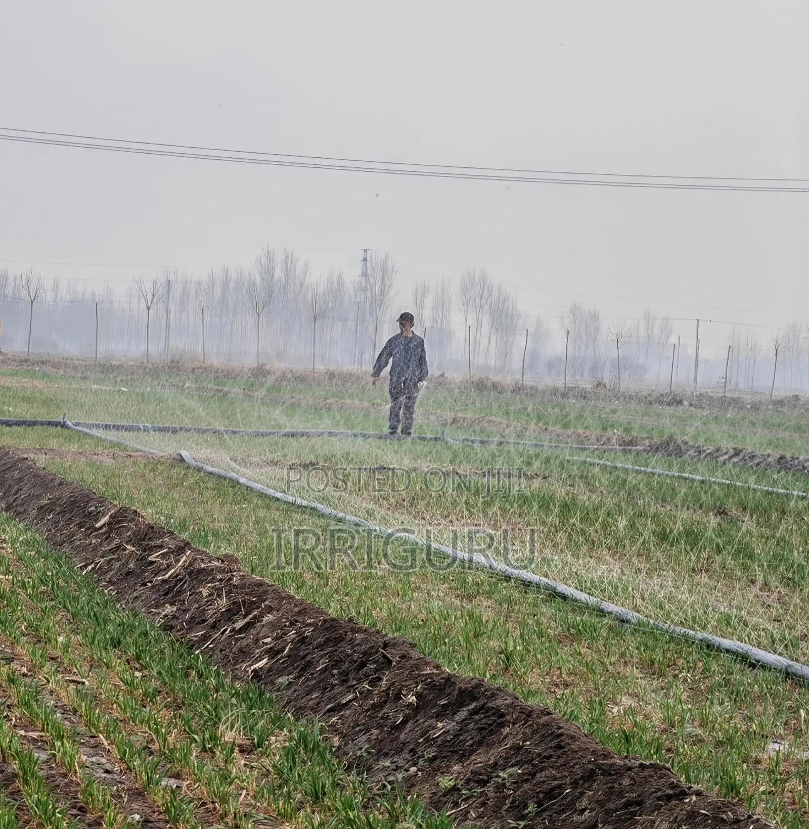 Irrigation Rainwater Pipe in Wheat Field