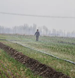 Irrigation Rainwater Pipe in Wheat Field
