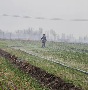 Irrigation Rainwater Pipe in Wheat Field