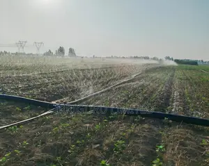 Rain Belt for Irrigating Beans