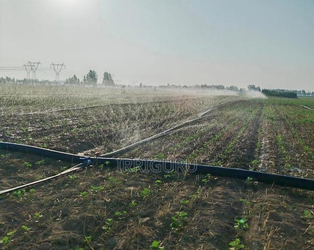 Rain Belt for Irrigating Beans