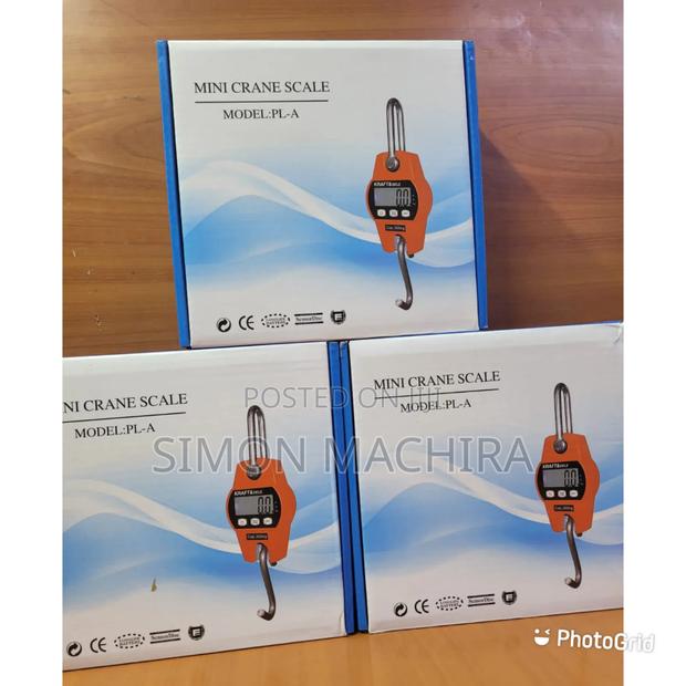 300kg Heavy Duty Crane Scale / Hanging Crane Scale - main view