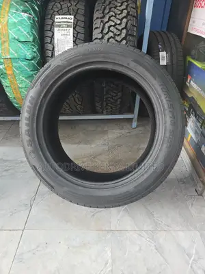 235/55r20 Sailun Tire