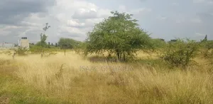 Juja Farm Prime Land
