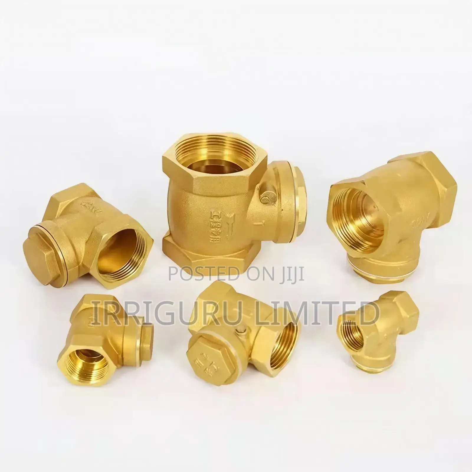 Check Valve