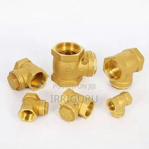 Check Valve - thumbnail 2