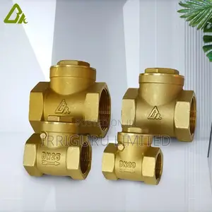 Irrigation Non-Return Valve
