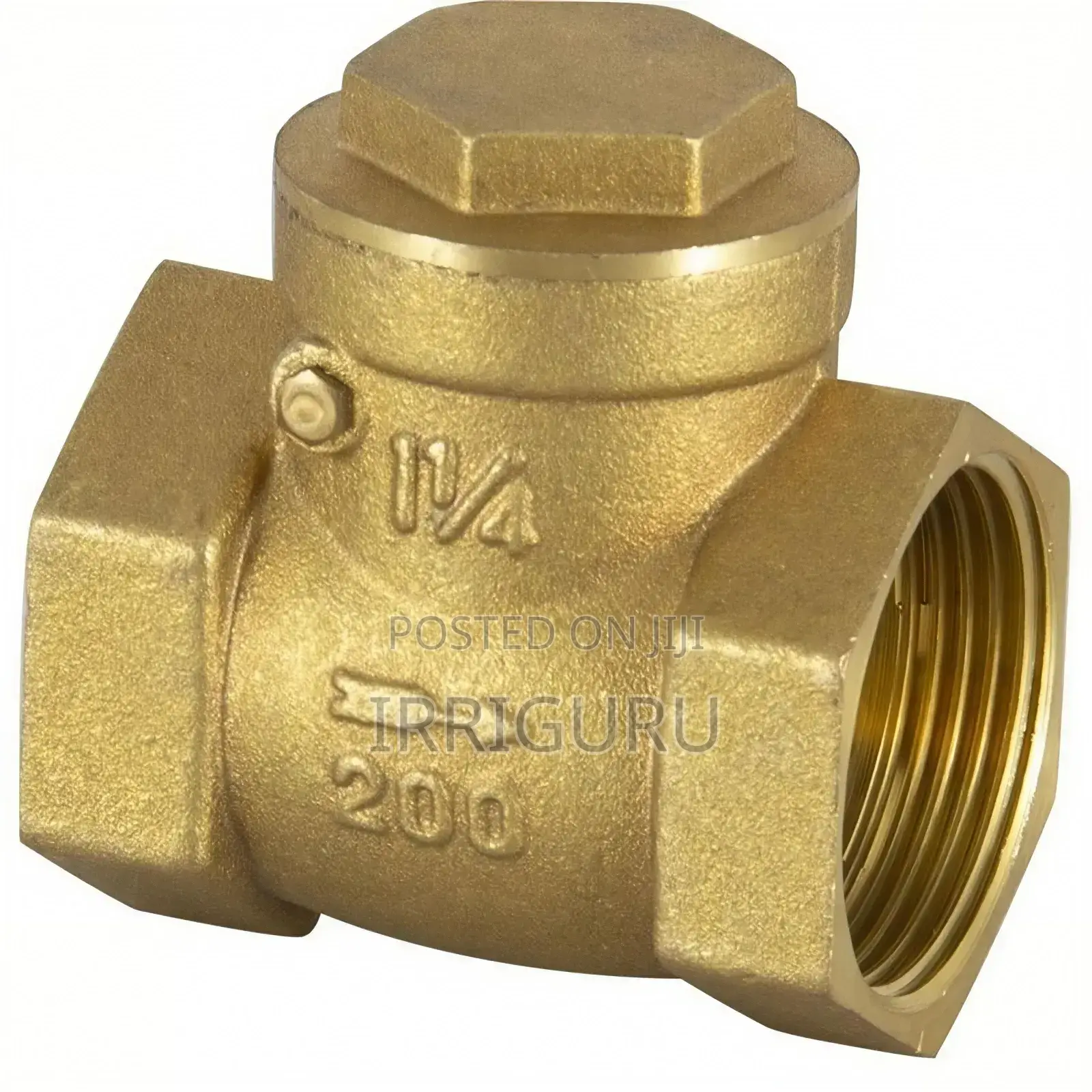 Reflux Valve