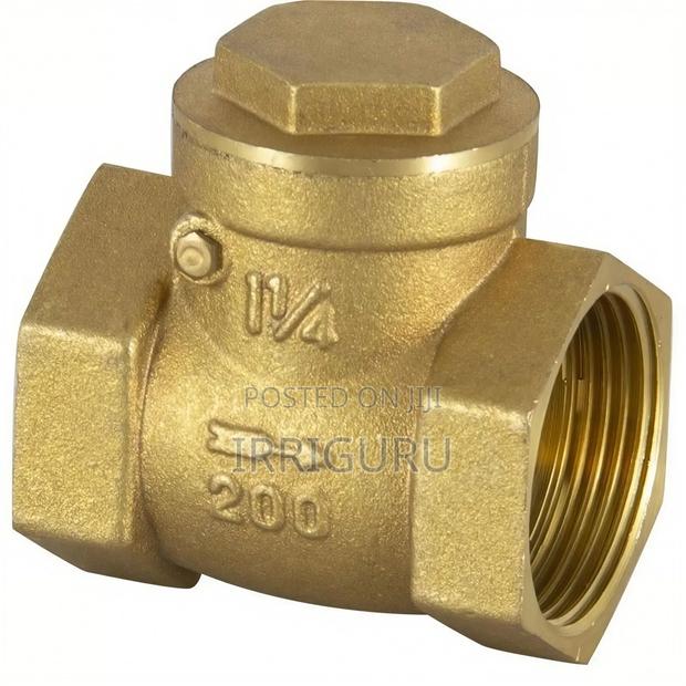 Reflux Valve