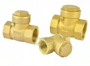 Brass Non-Return Valve