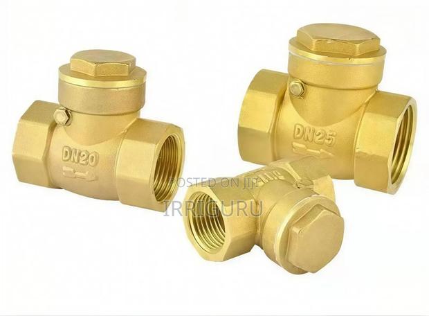 Brass Non-Return Valve - main view