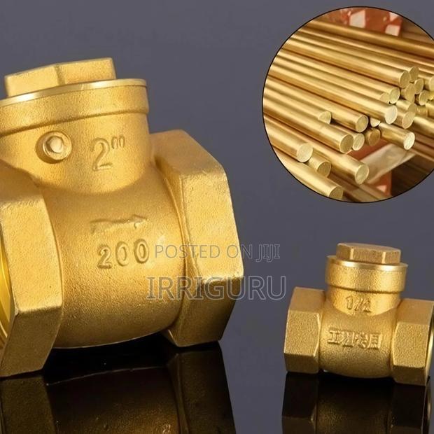 Pegler Non-Return Valve